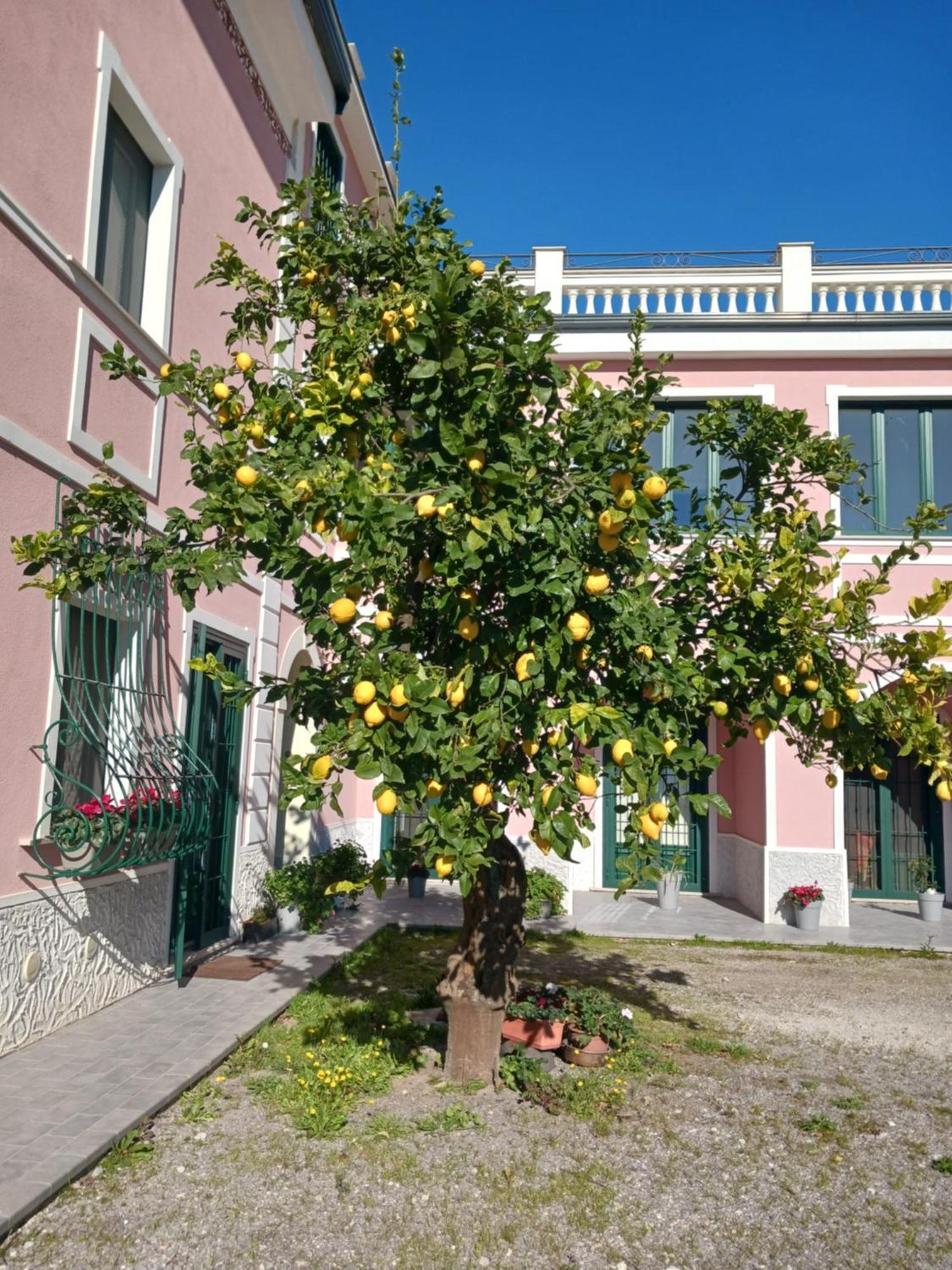 Guest House Cifrino Giffoni Sei Casali Exterior foto